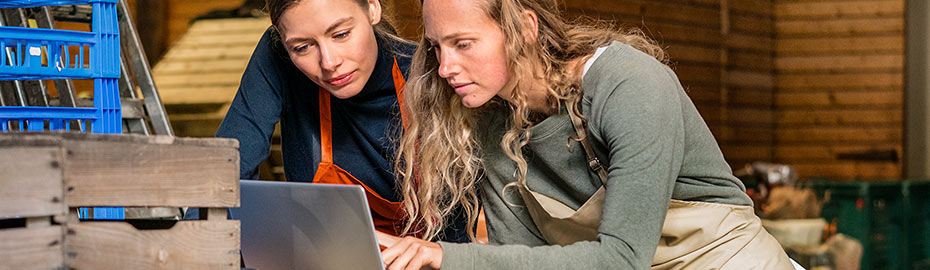 Volksbank Haselunne Eg Online Banking Firmenkunden